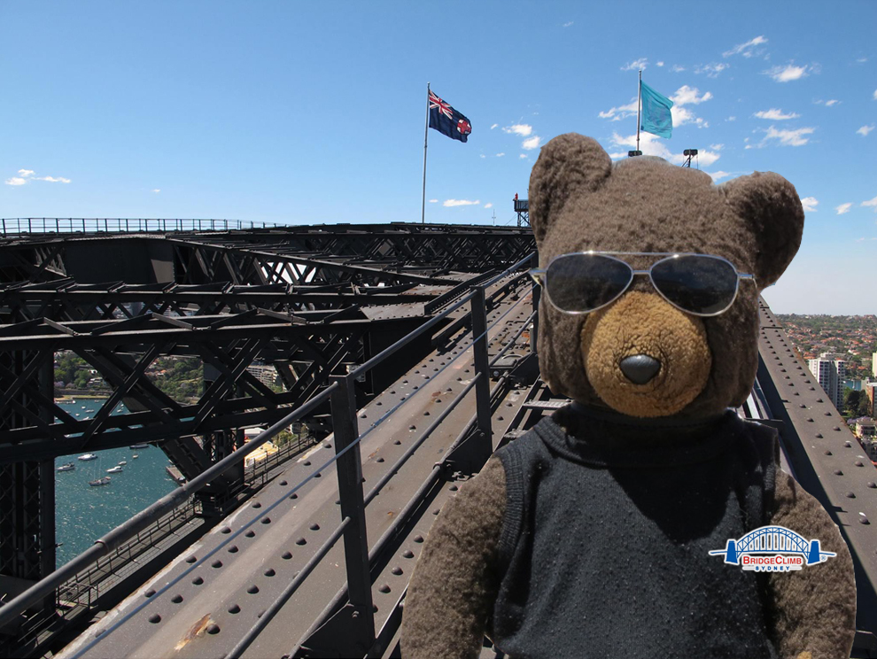 bridgeclimb